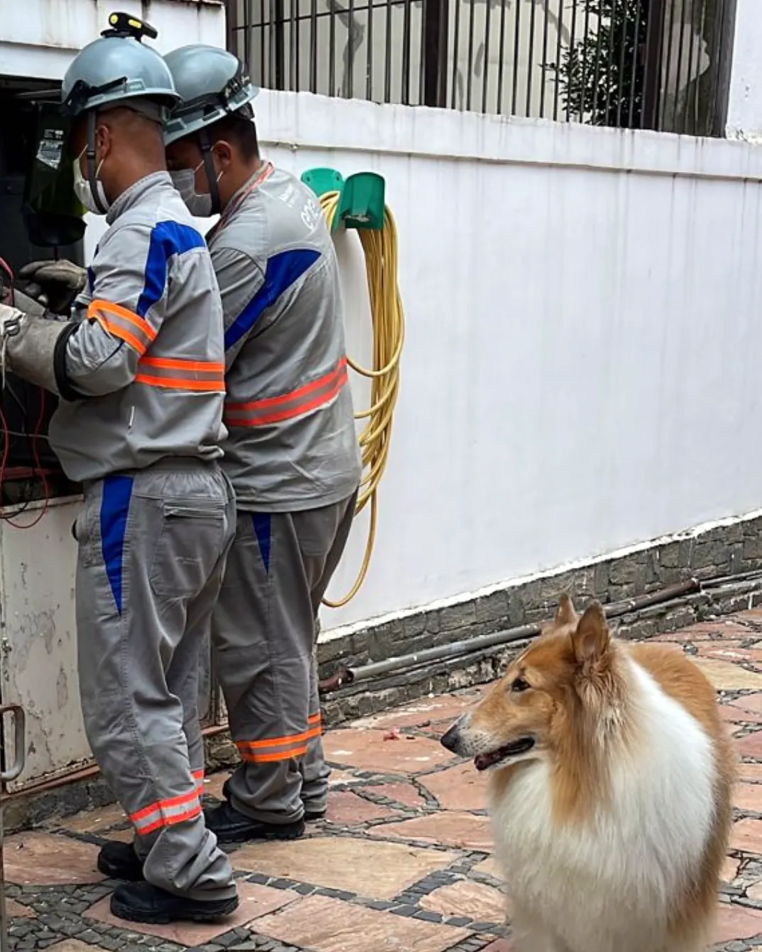 Equipe de Ronaldo Américo trabalhando em instalação elétrica em obra na Vila Maria, Zona Norte de São Paulo